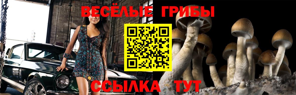 Симферополь  Псилоцибиновые грибы GOLDEN TEACHER  Вход с VPN 